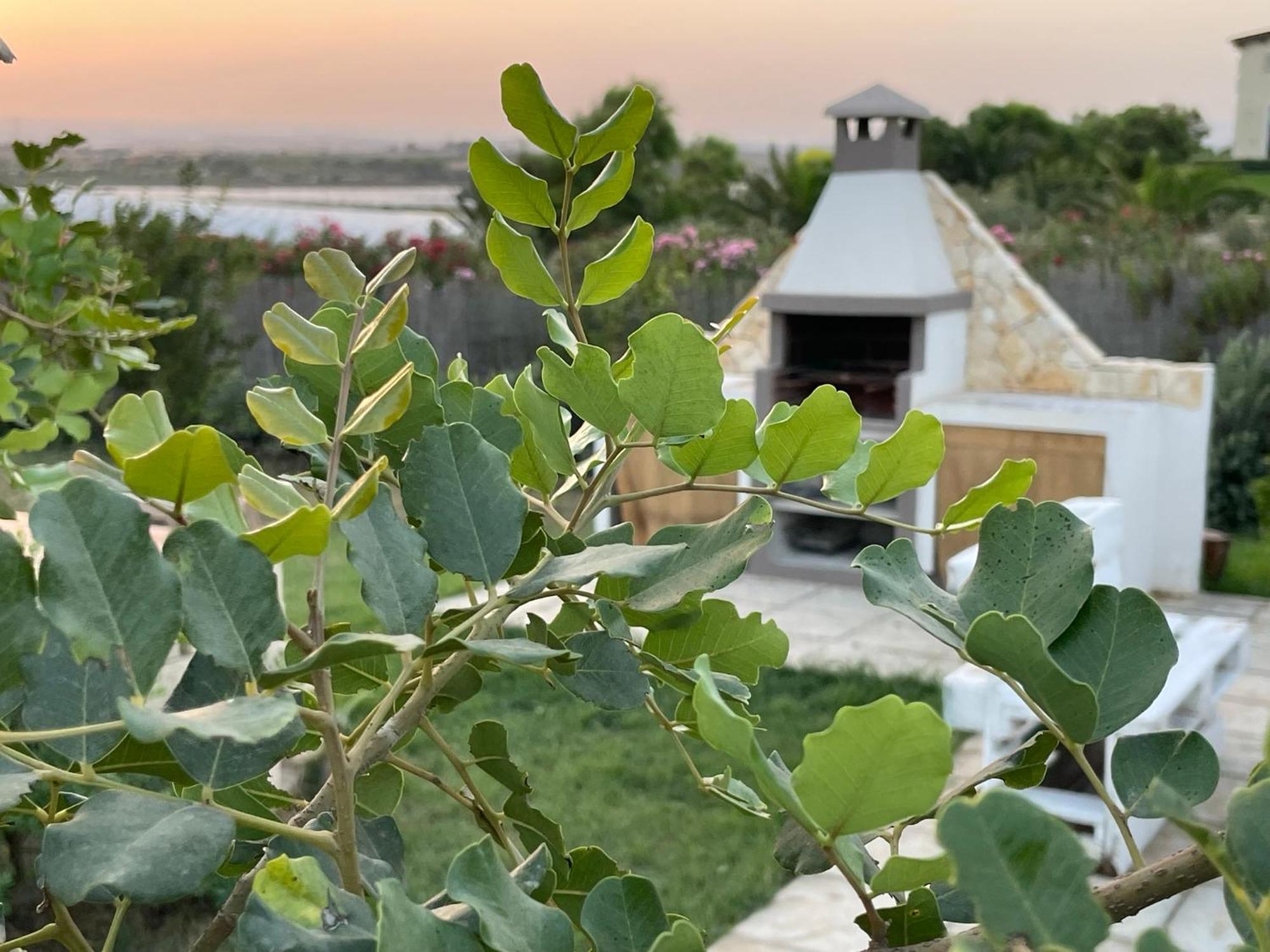 Villa Triona Marzamemi Con Piscina Zewnętrze zdjęcie